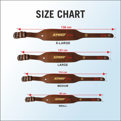 XPEED XP1004 All Leather Weight Lifting Belt 6 Inch Premium Veg-Tan for Core & Lower Back Support