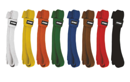 XPEED XP1906 Karate Belts - Poly Cotton Martial Arts Belt with Web Tape Insert