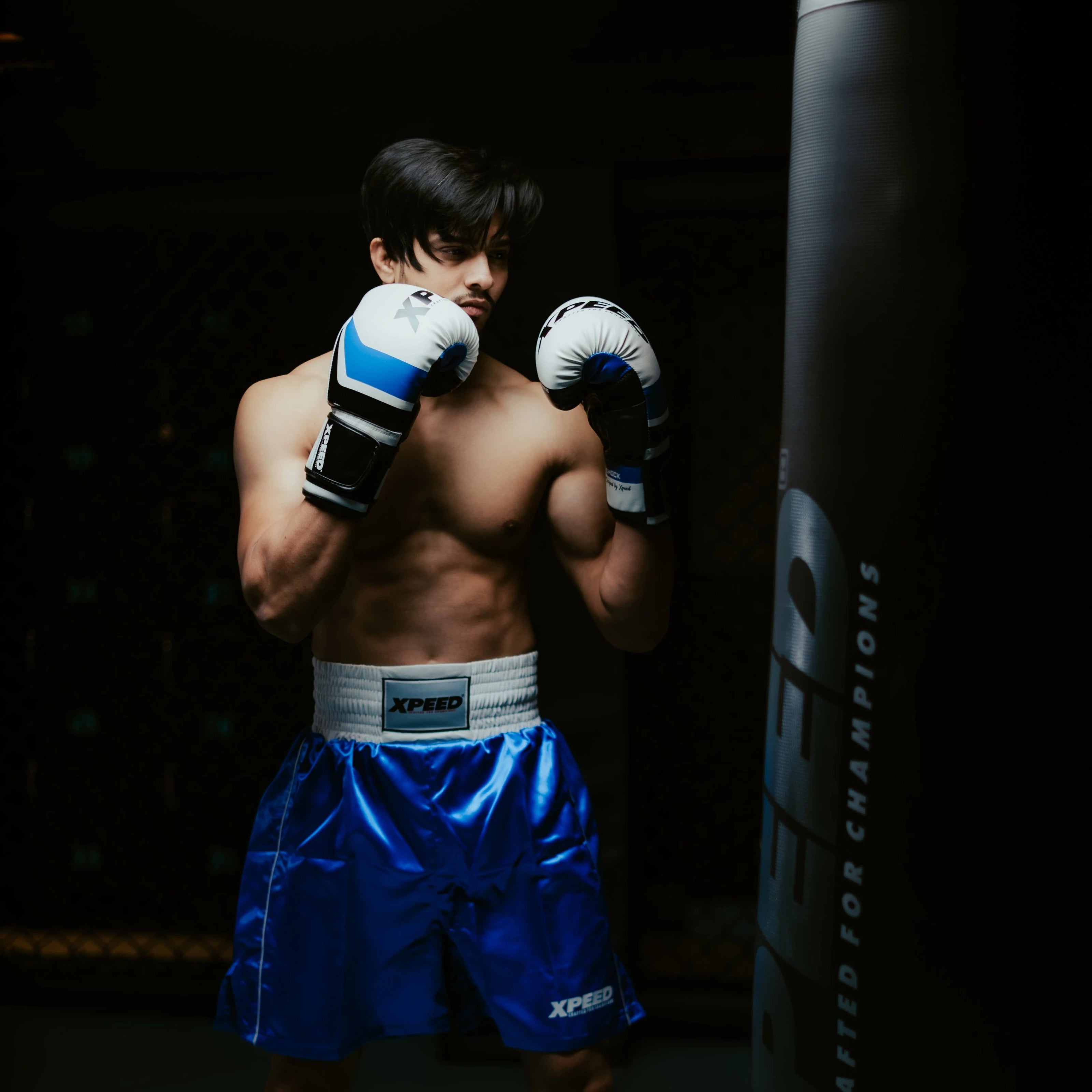 Xpeed boxing gloves and training equipment collection