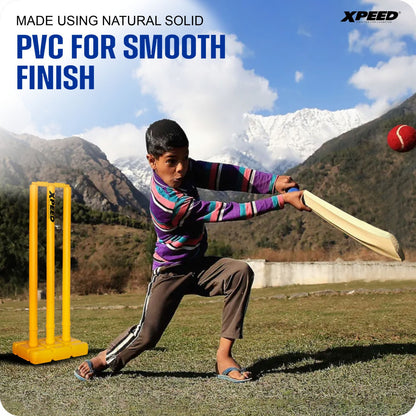 A boy in a colorful striped shirt swings a cricket bat outdoors, hitting a red cricket ball near yellow stumps. Snow-capped mountains and a blue sky are in the background, with text reading 'MADE USING NATURAL SOLID PVC FOR SMOOTH FINISH' and the Xpeed logo in the top right.