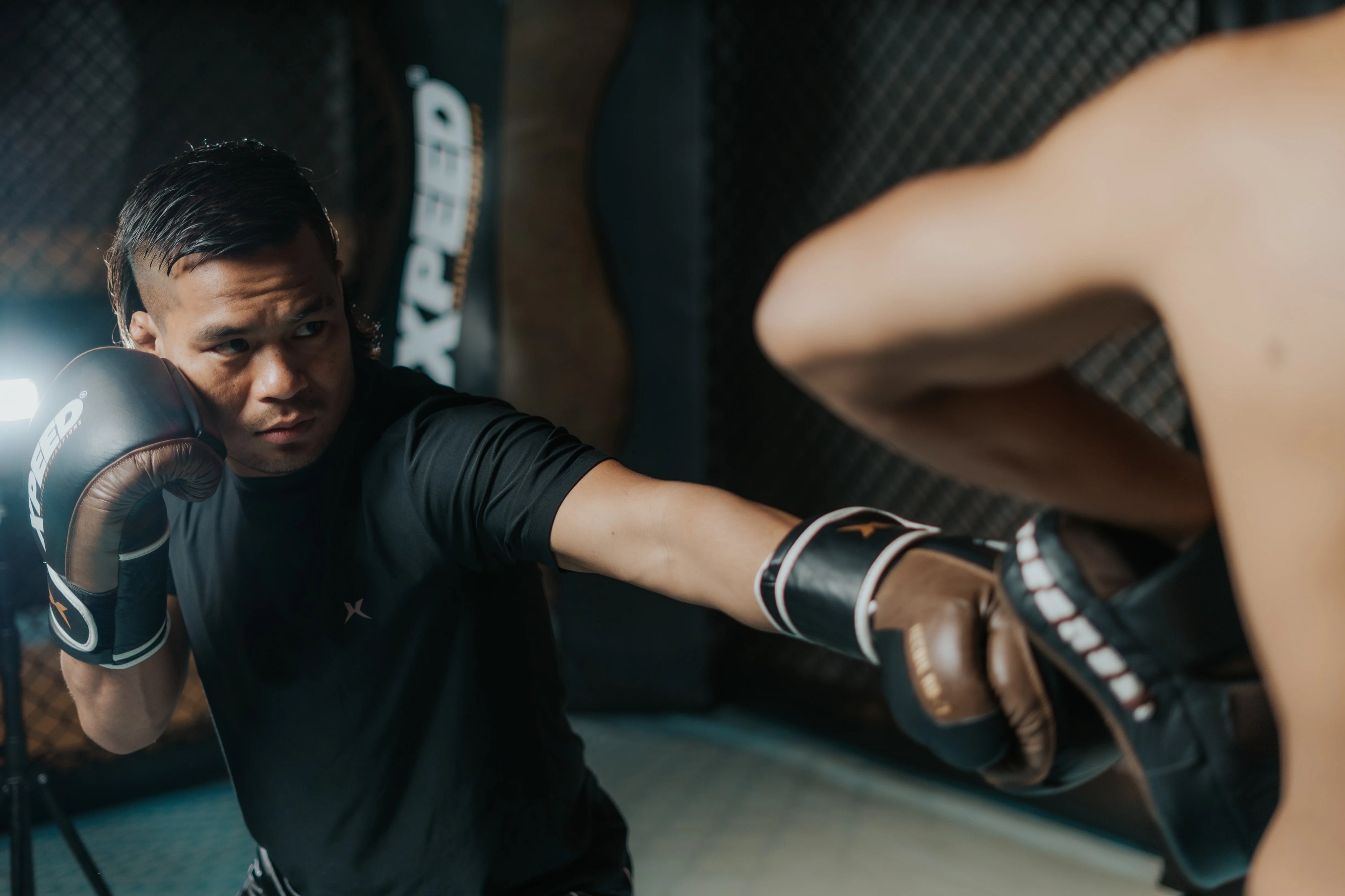 Xpeed MMA gloves and combat training equipment collection